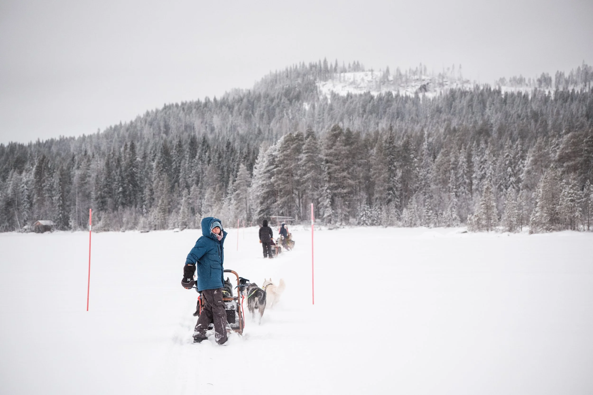 Person in blauer Winterjacke mit Hundeschlitten im Schnee, umgeben von verschneiten Bäumen und Bergen bei winterlichem Wetter.