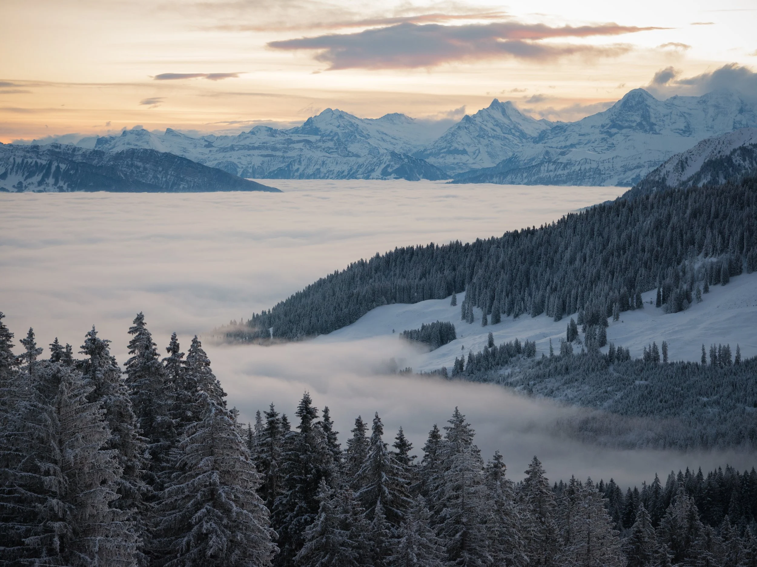 Schneebedeckte Berge, Nebel in Tälern und Tannen im Vordergrund bei Sonnenuntergang in einer winterlichen Berglandschaft.