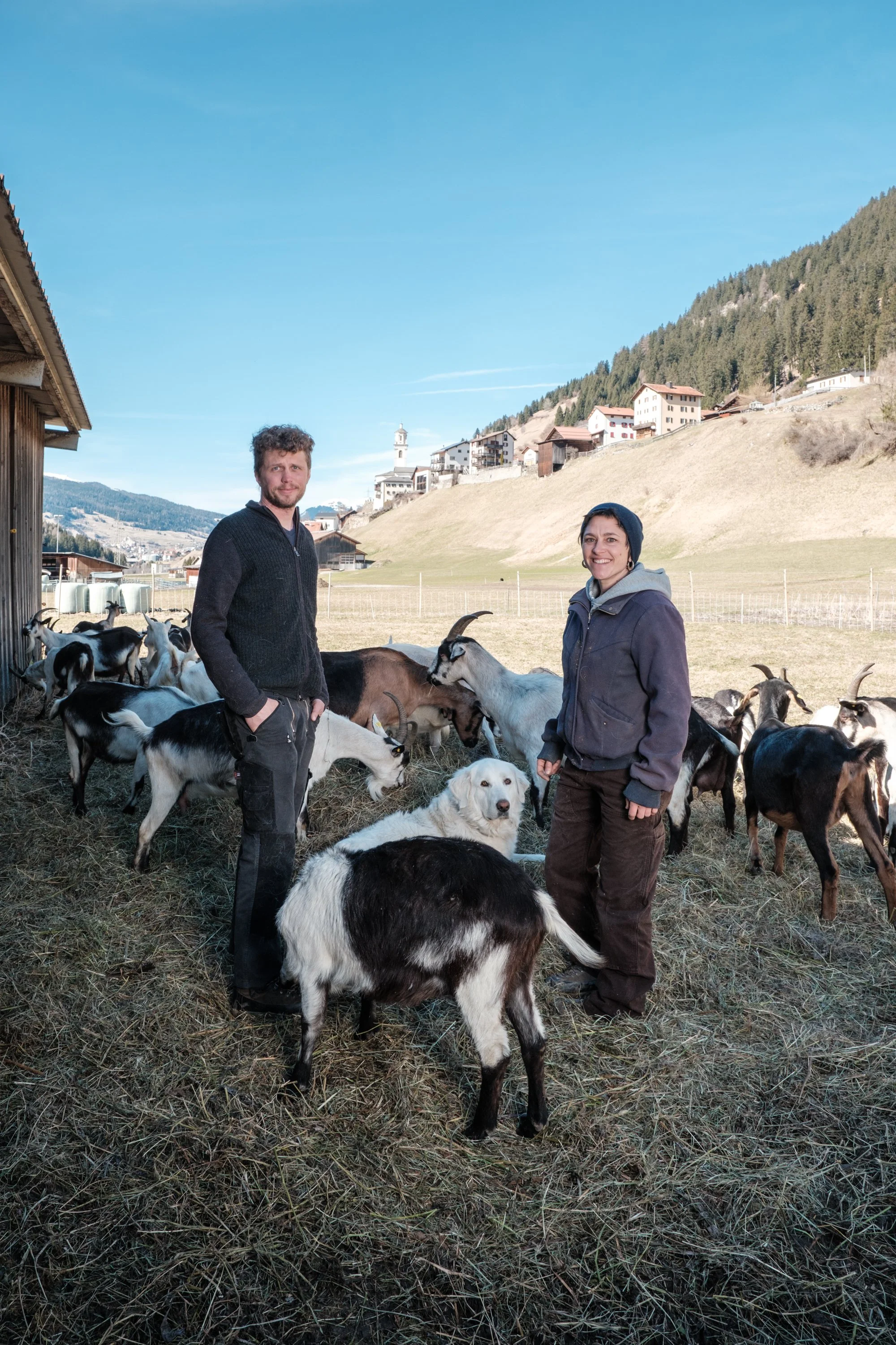 Zwei Personen mit Ziegen und Hunden auf einer Weide mit Bergen und Häuser im Hintergrund.